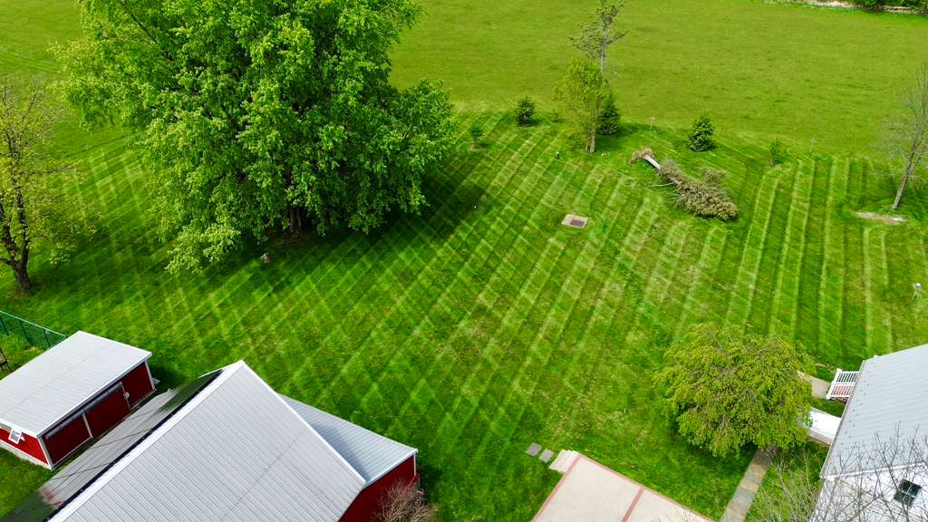 Beautiful lawn and landscaping by Life is Green in Gaithersburg, MD