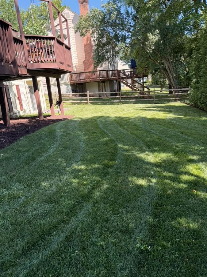 Freshly mowed lawn with clean mowing stripes in Maryland